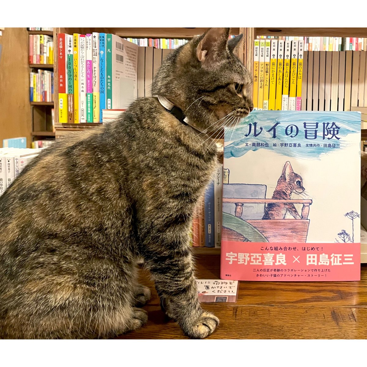 宇野亜喜良 アリス 猪口 カップ 宇野亜喜良アリス猪口カップ