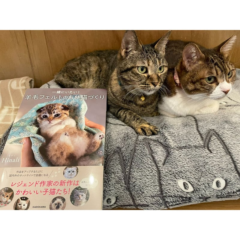 国内作家さま 泥臭い 羊毛フェルト 三毛猫さん