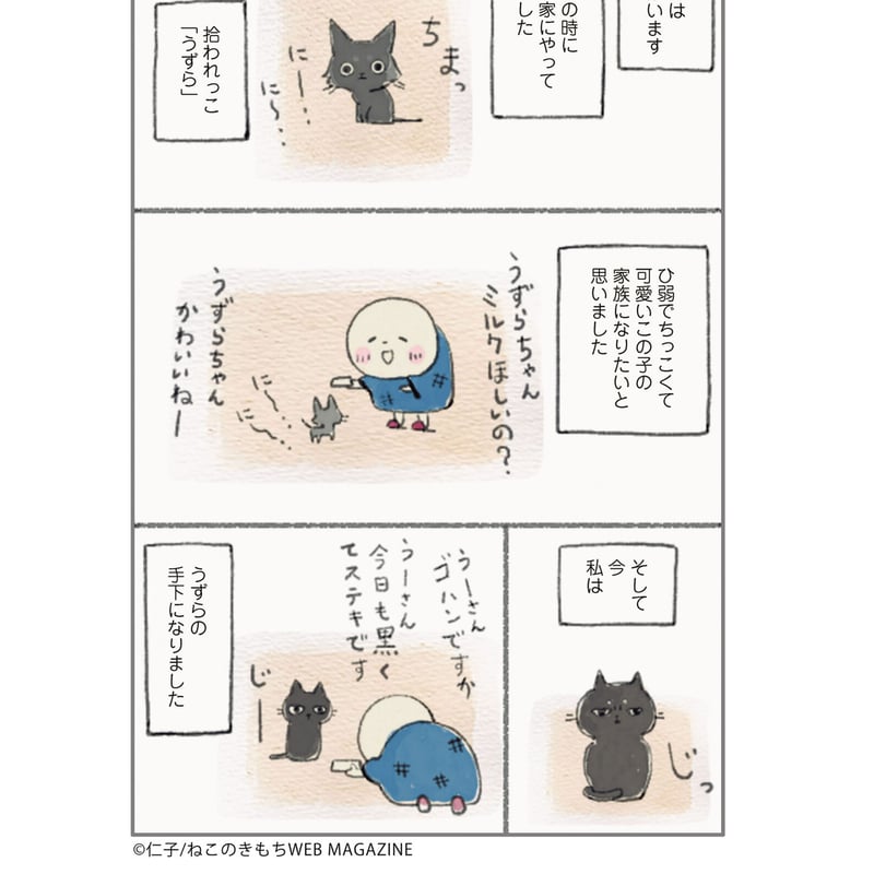 ねこ連れ草 うずらとかんたろう徒然ニャッ記 | Cat's Meow Books