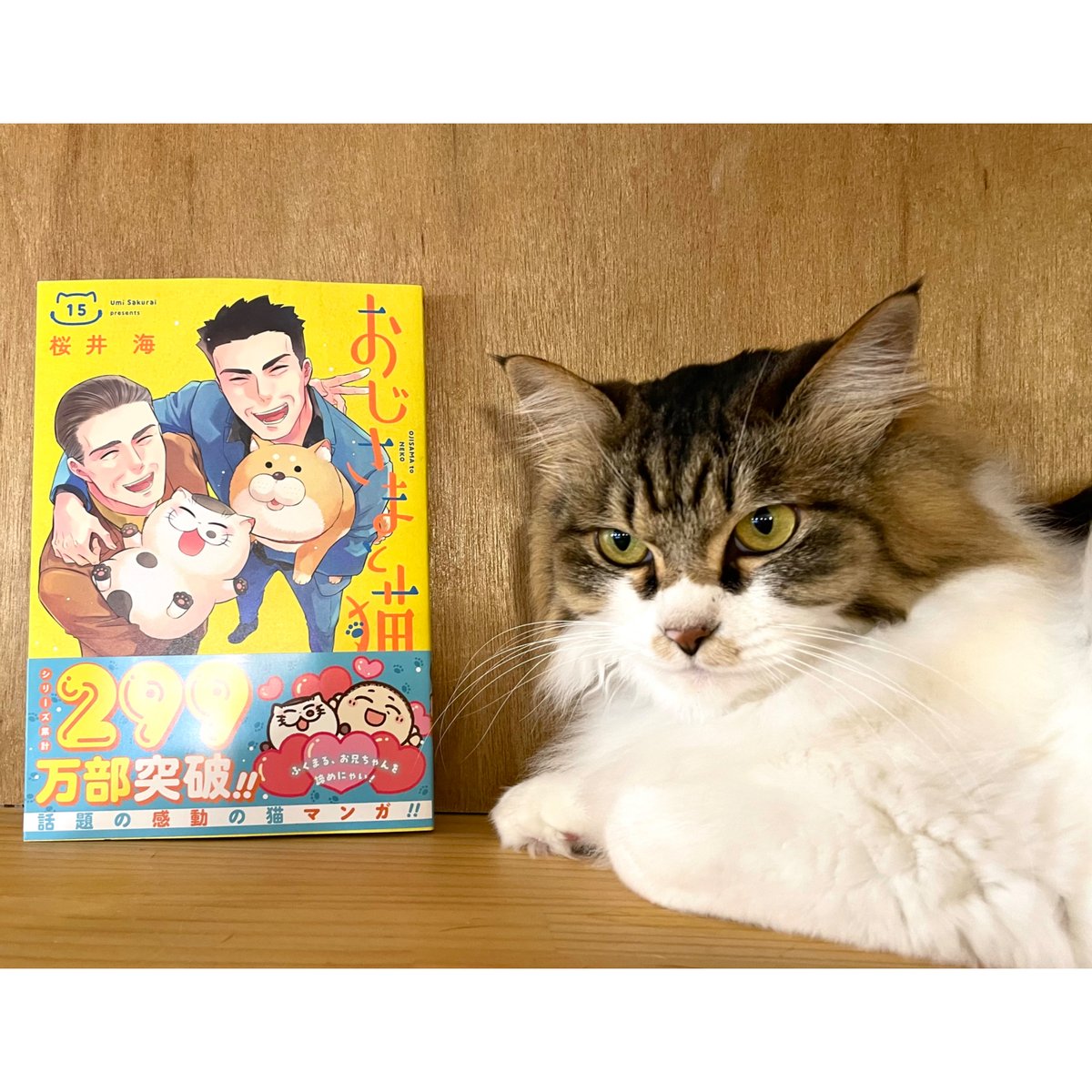猫田さま　ページ おじさまと猫（1～15巻） | Cat's Meow Books Virtual Shop β