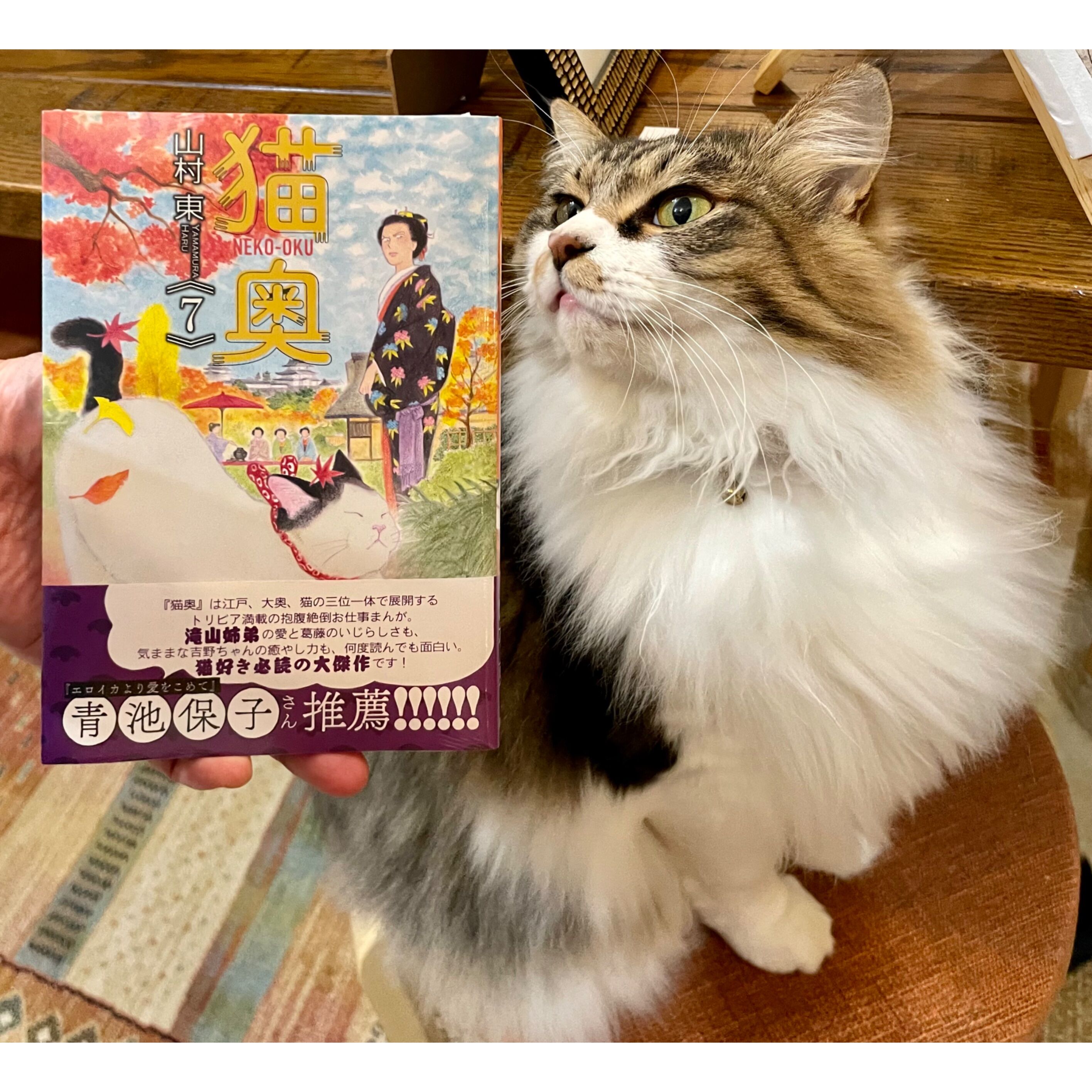 猫奥（1～12巻） | Cat's Meow Books Virtual Shop β