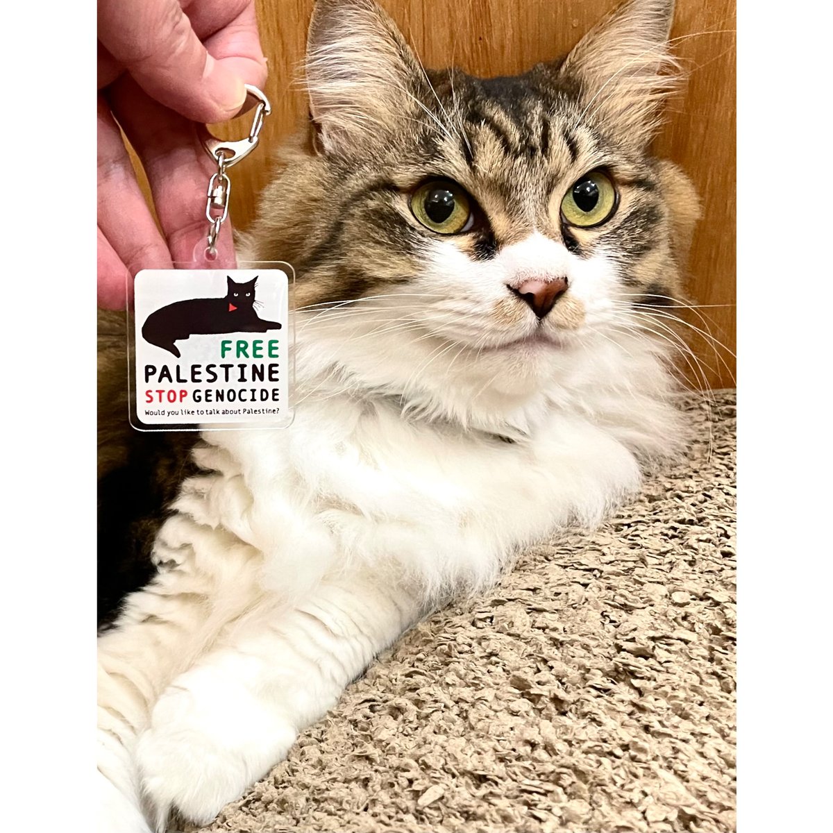 小泉さよ FREE PALESTINE アクリルキーホルダー | Cat's Meow Boo