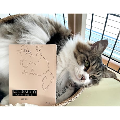 CATEGORY 普通の本屋さんで売ってない | Cat's Meow Books Virtu