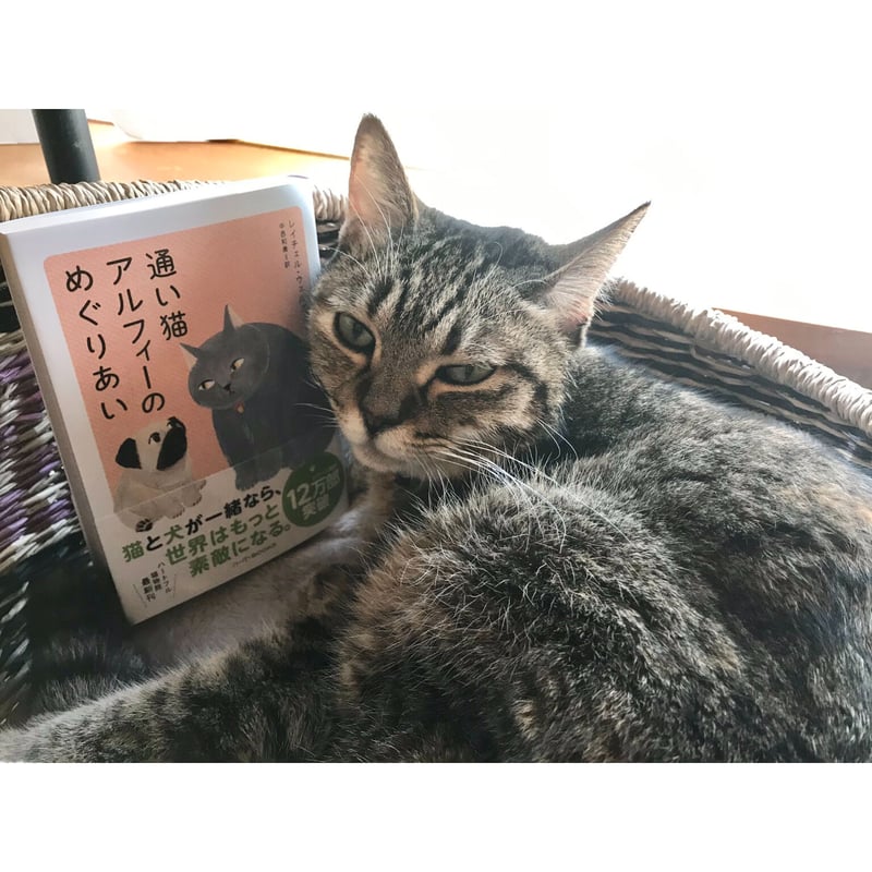 通い猫アルフィー（1～9巻） | Cat's Meow Books Virtual Shop β
