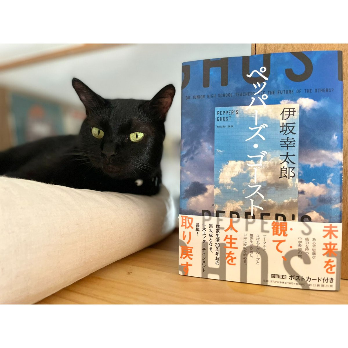 ペッパーズ・ゴースト | Cat's Meow Books Virtual Shop β