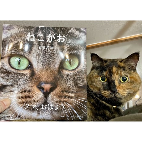 Cat's Meow Books Virtual Shop β
