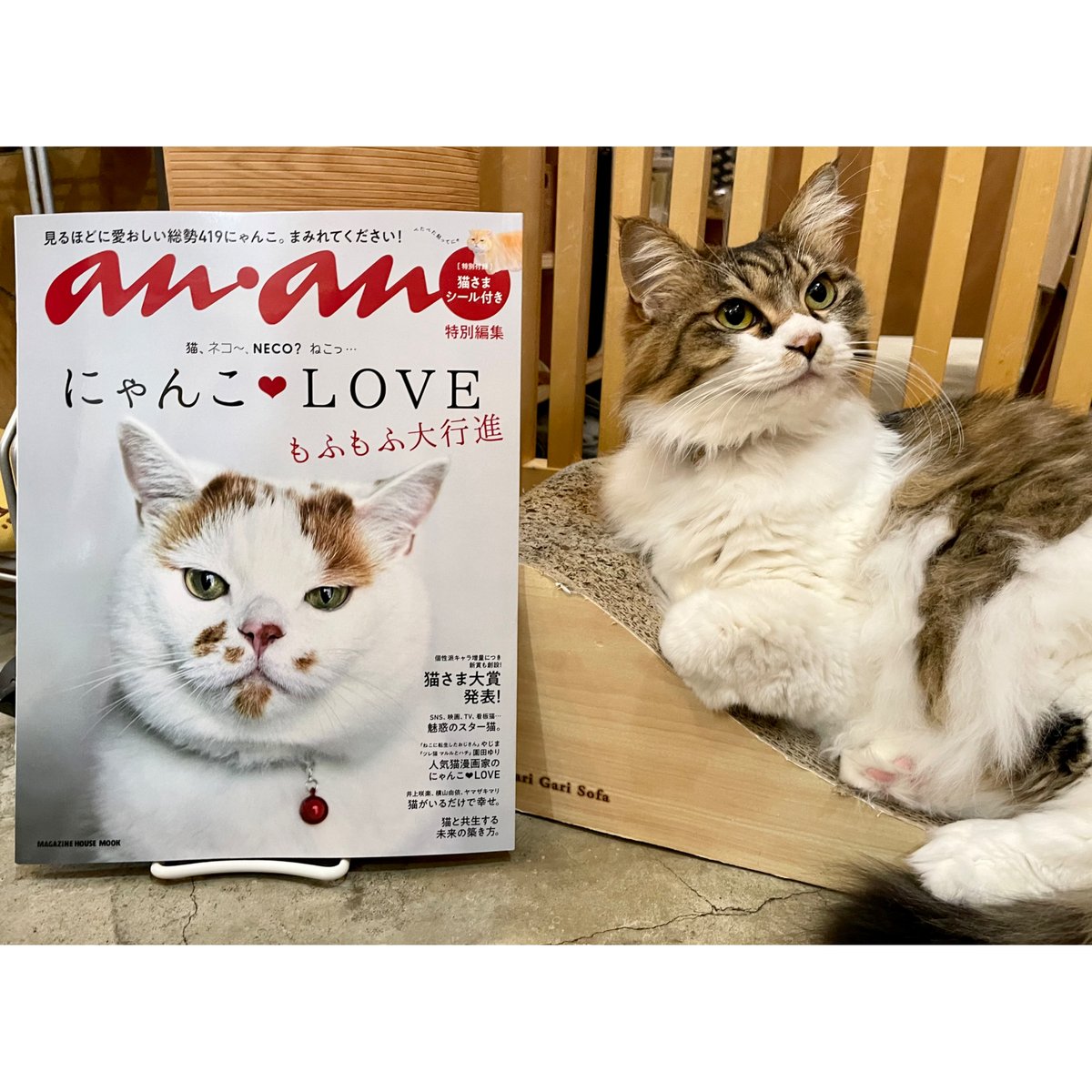 ねこさま専用 ねこ様専用 ねこさま専用 ねこ♡さま専用 ※猫様専用※
