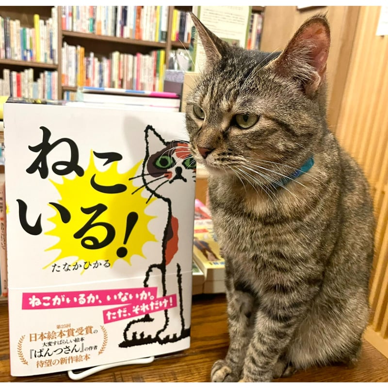ねこいる！ | Cat's Meow Books Virtual Shop β