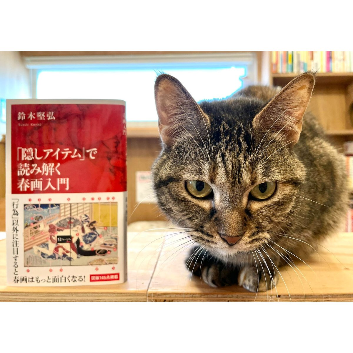 Virtual　Sh...　Meow　Cat's　隠しアイテム」で読み解く春画入門　Books