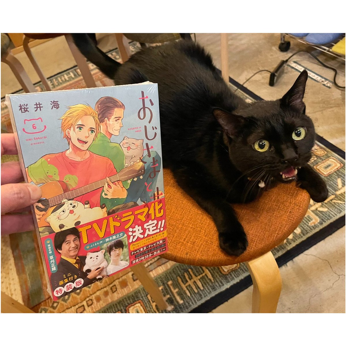 おじさまと猫　1~13巻　非全巻 おじさまと猫 漫画 1～13巻 - メルカリ