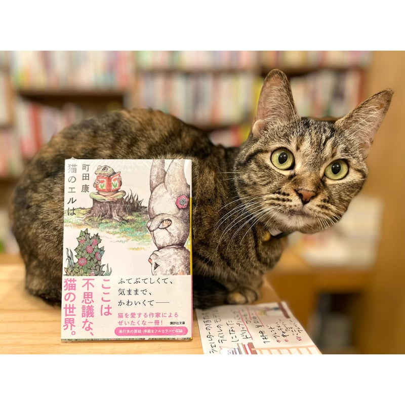 サイン本　猫のエルは 猫のエルは（文庫） | Cat's Meow Books Virtual Shop β