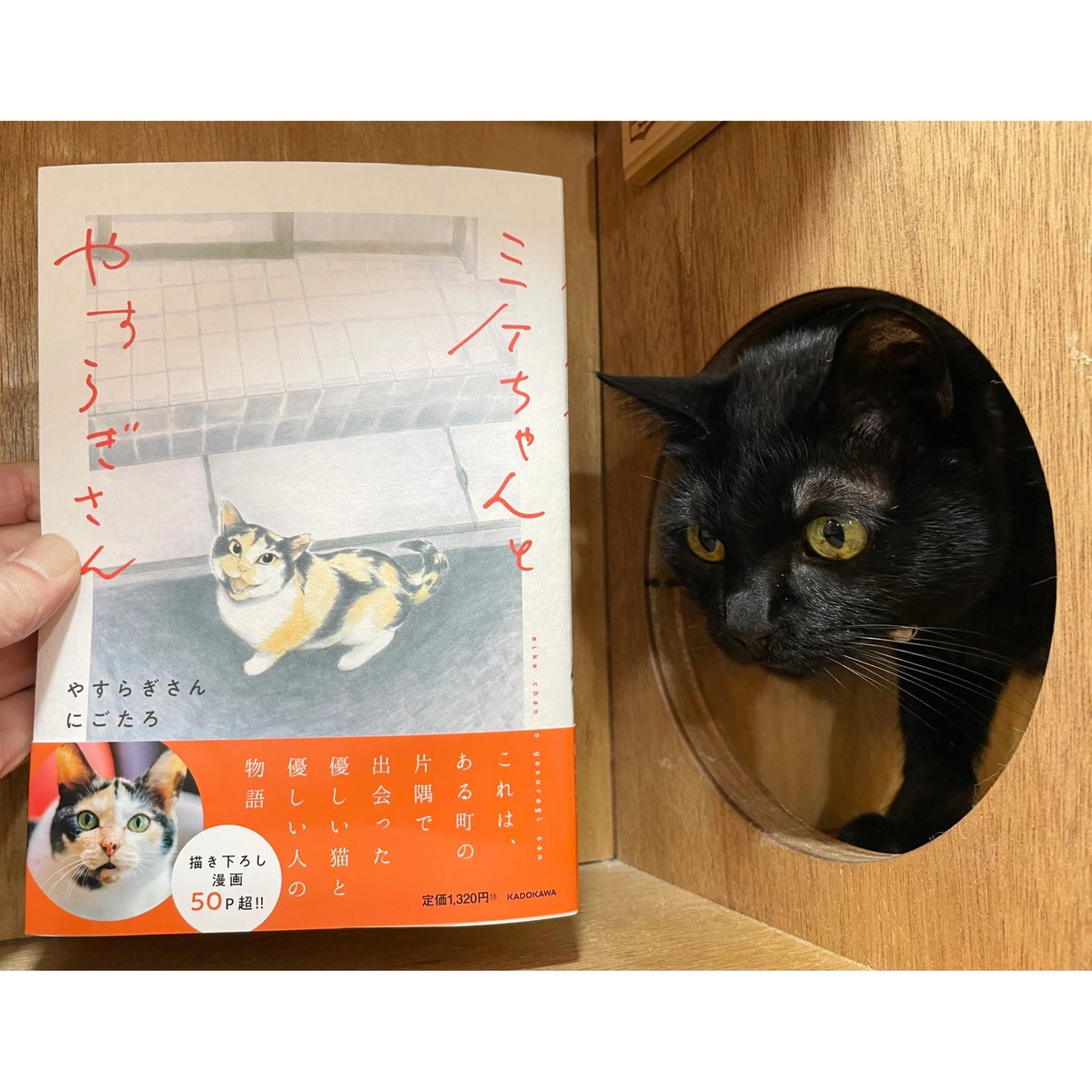 ミケちゃんとやすらぎさん | Cat's Meow Books Virtual Shop β