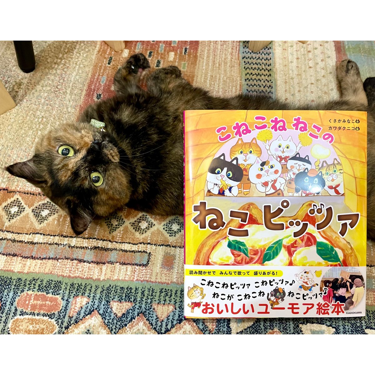 ねこページ こねこねねこの ねこピッツァ | Cat's Meow Books Virtual Shop β
