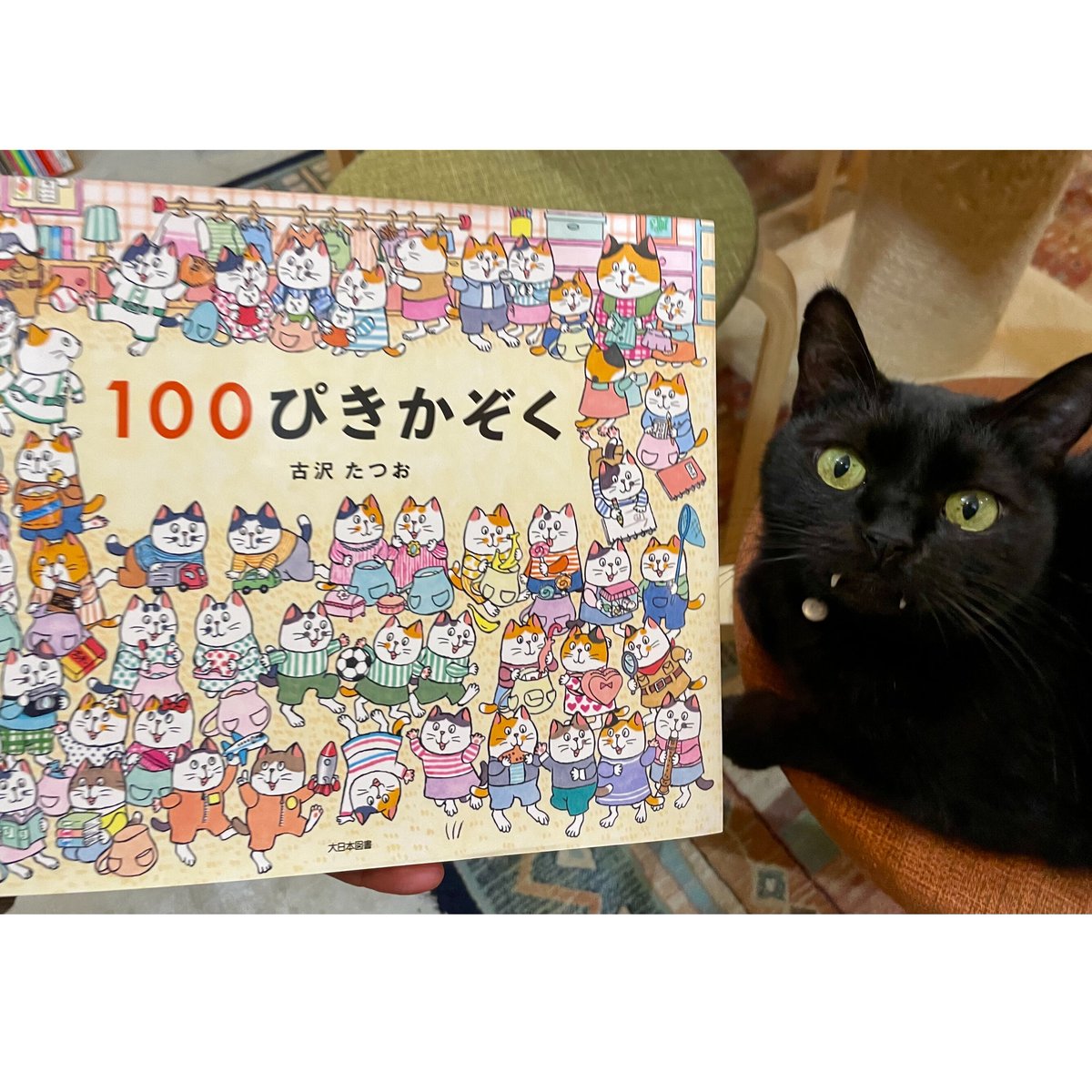 100ぴきかぞく | Cat's Meow Books Virtual Shop β