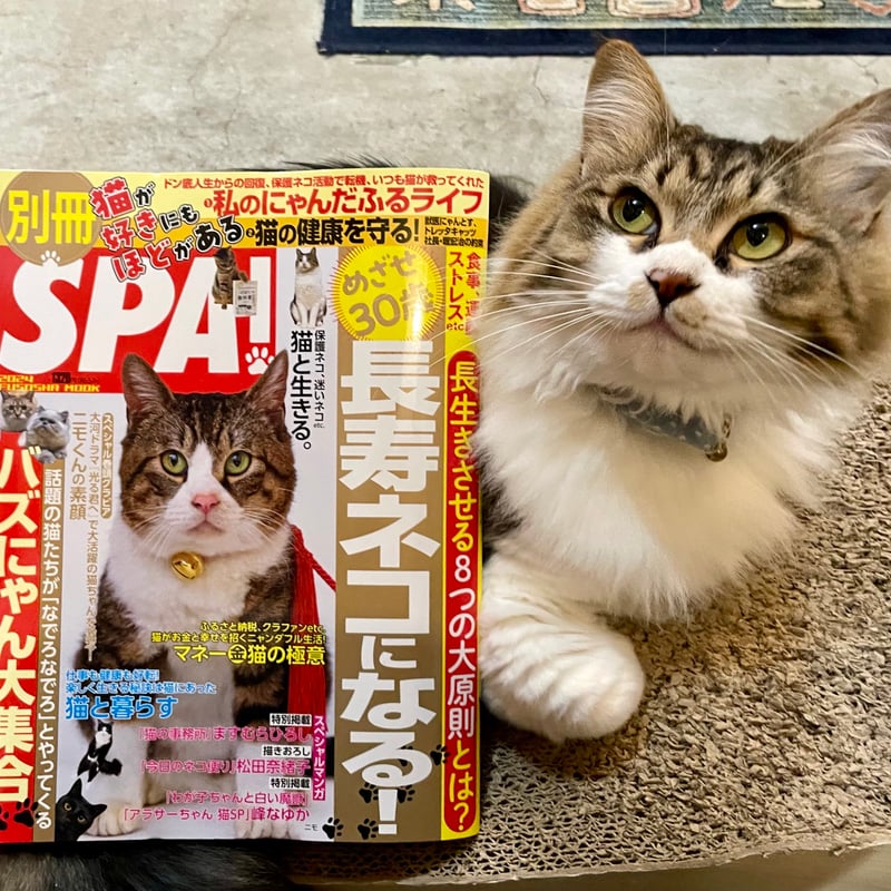 別冊SPA！猫が好きにもほどがある | Cat's Meow Books Virtual Sh
