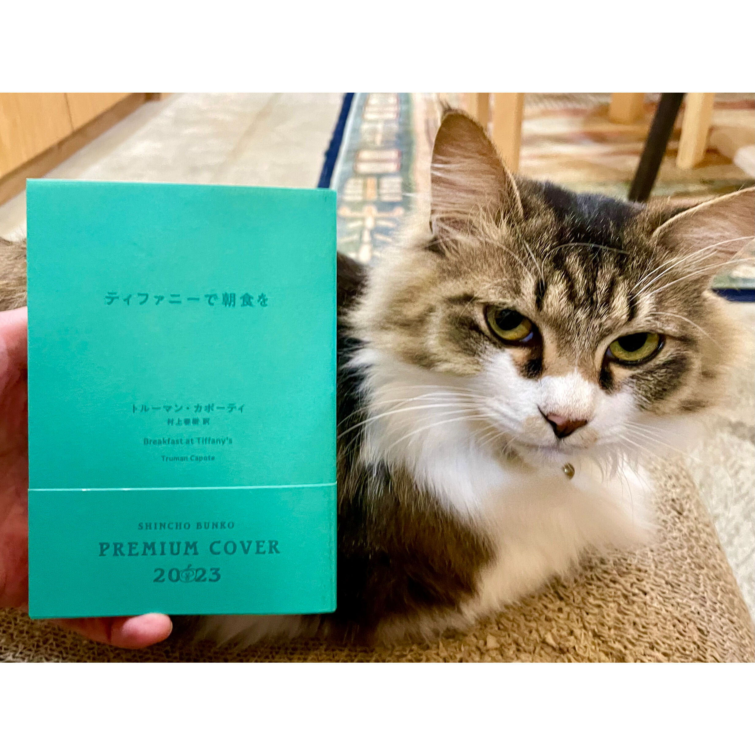 ティファニーで朝食を （原書で楽しむ英米文学シリーズ　１） original