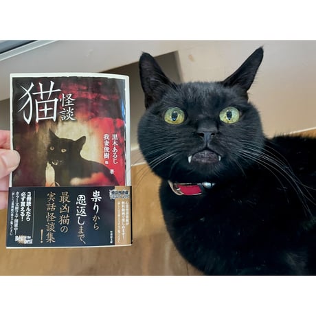 猫怪談