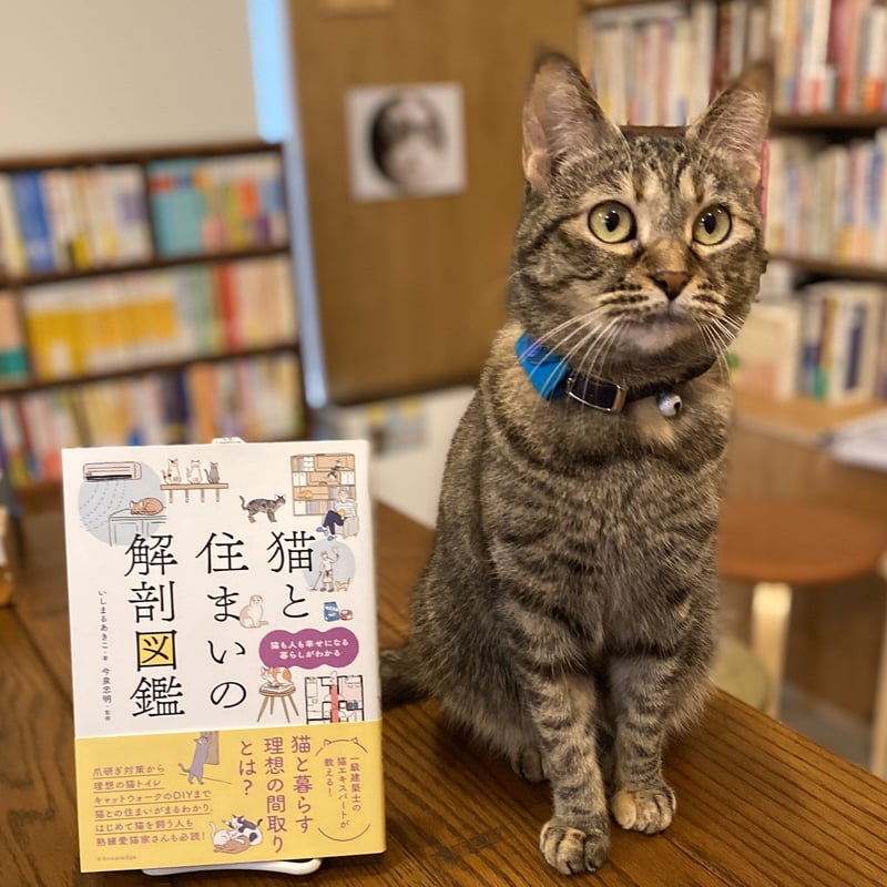 猫と住まいの解剖図鑑 | Cat's Meow Books Virtual Shop β 猫と住まいの解剖図鑑 | Cat's Meow Books Virtual Shop β