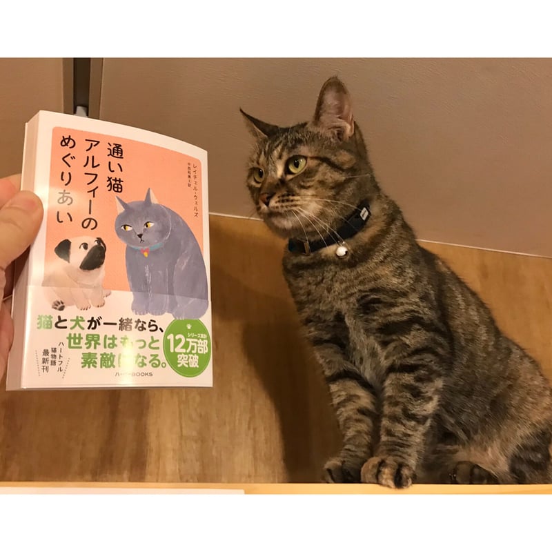 通い猫アルフィー（1～8巻） | Cat's Meow Books Virtual Shop β