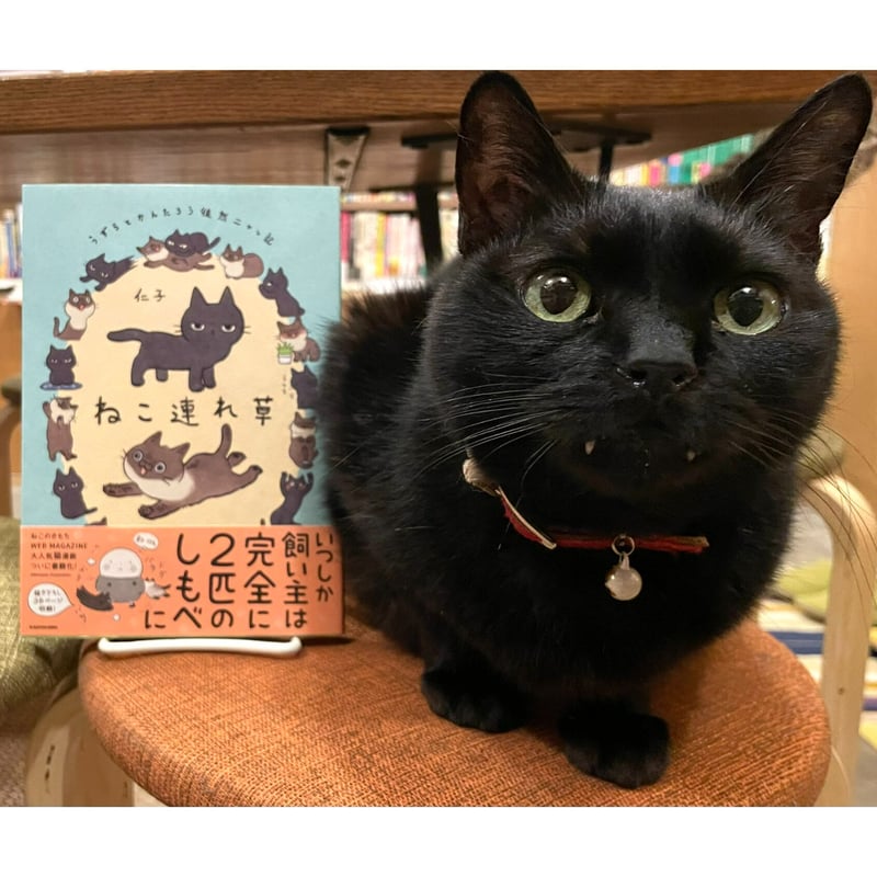 ねこ連れ草 うずらとかんたろう徒然ニャッ記 | Cat's Meow Books