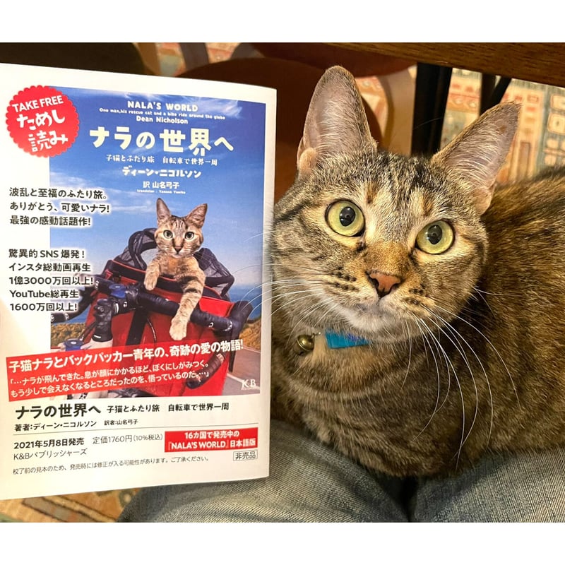 ナラの世界へ | Cat's Meow Books Virtual Shop β