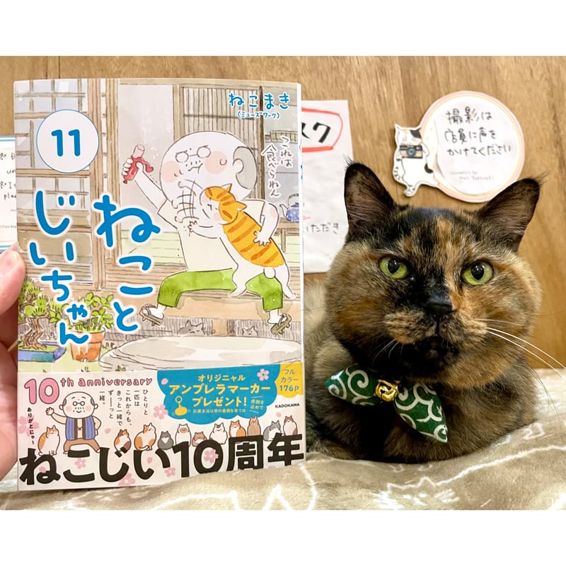 ねことじいちゃん | Cat's Meow Books Virtual Shop β ねことじいちゃん | Cat's Meow Books Virtual Shop β