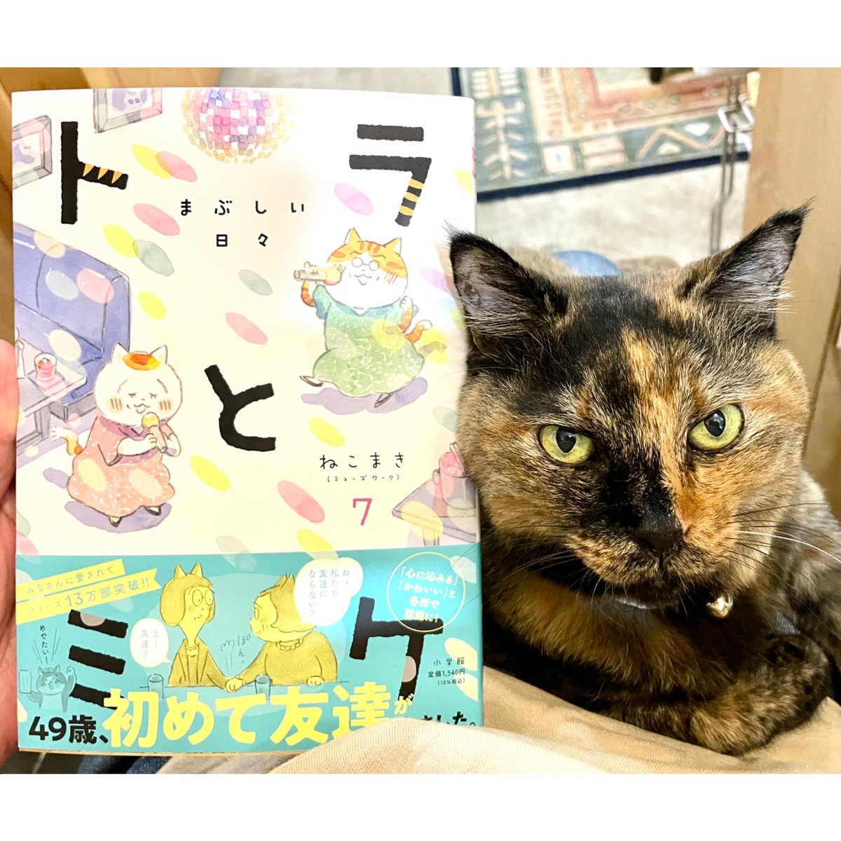 トラとミケ (7)（※説明にある「送料について」をお読みください 