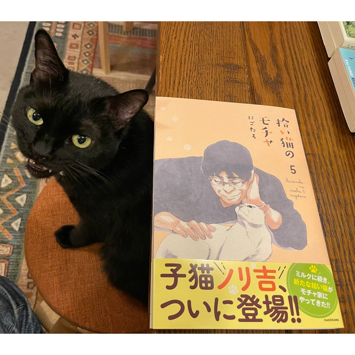 拾い猫のモチャ(全8巻) | Cat's Meow Books Virtual Shop β 拾い猫のモチャ(全8巻) | Cat's Meow Books Virtual Shop β