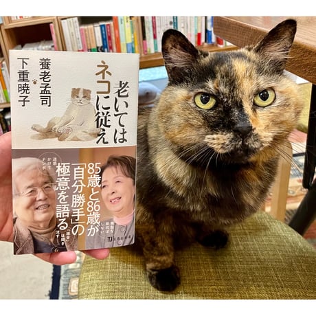 Amazon.co.jp: カシニョール（Cassigneul）、尾道、な画集より