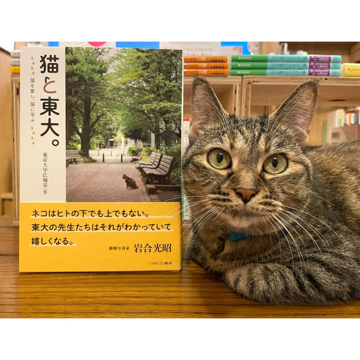限定小冊子付き】猫と東大。 | Cat's Meow Books Virtual Shop β