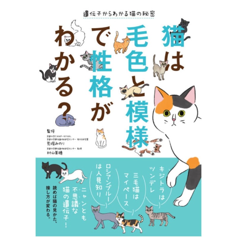 肉筆絵画 スコティッシュフォルド ブルー 肉筆絵画