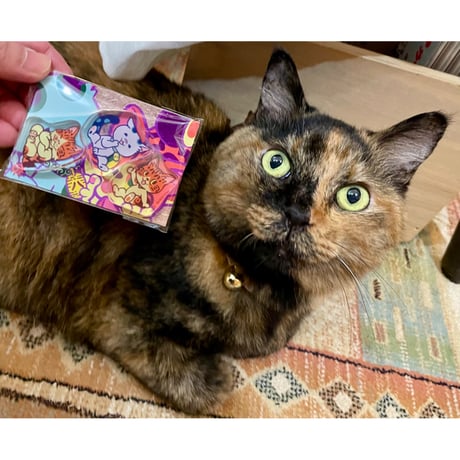 Max Meow 5冊セット Max Meow 5冊セット Max Meow 5冊セット