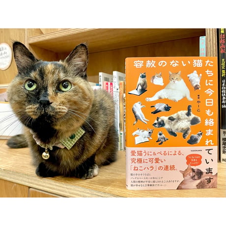 Cat's Meow Books Virtual Shop β