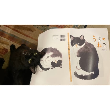 CATEGORY さつき | Cat's Meow Books Virtual Shop β