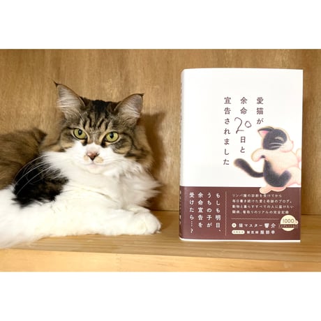 CATEGORY 普通のジャンル別 | Cat's Meow Books Virtual Sh