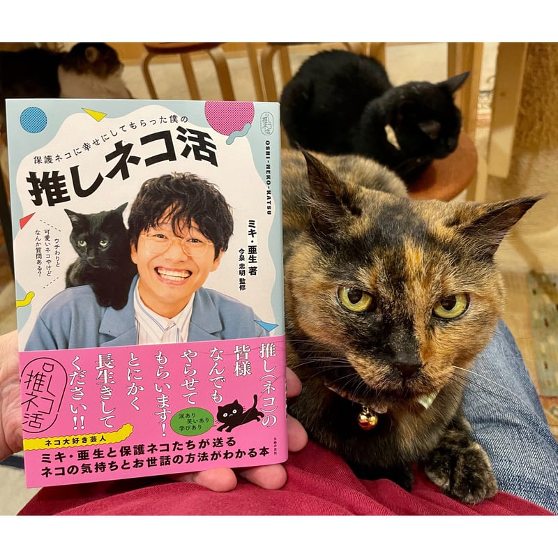 保護ネコに幸せにしてもらった僕の推しネコ活 | Cat's Meow Books Virtua...