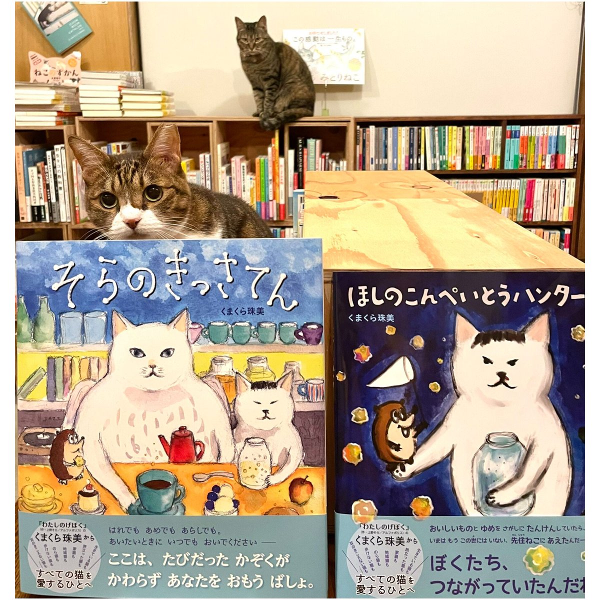 ほしのこんぺいとうハンター＋そらのきっさてん（2冊セット