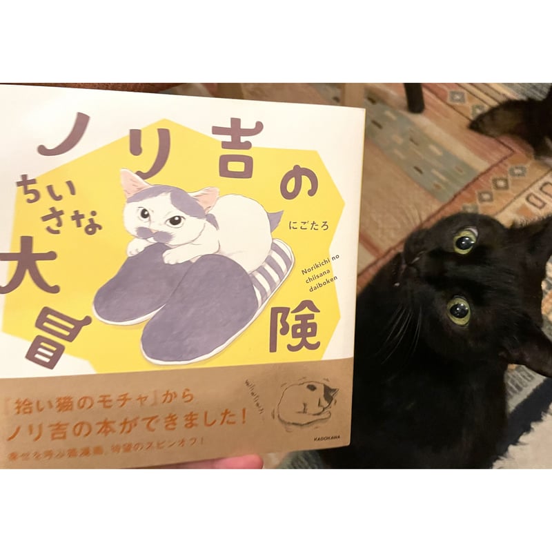ノリ吉のちいさな大冒険 | Cat's Meow Books Virtual Shop β