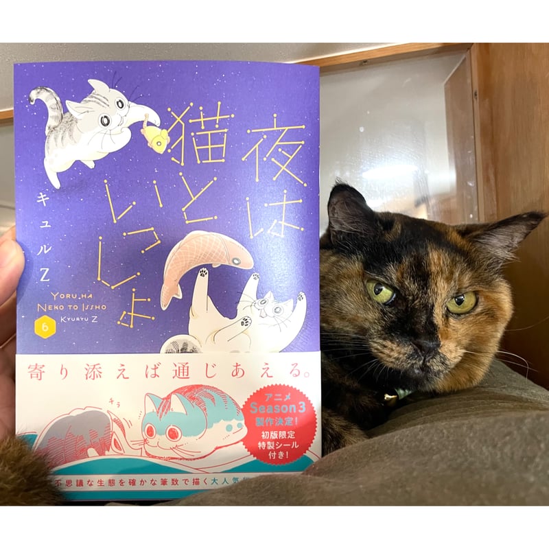 夜は猫といっしょ（1～7巻） | Cat's Meow Books Virtual Shop β