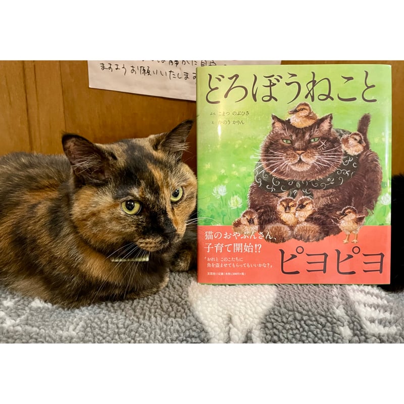 ステッカー付き】どろぼうねことピヨピヨ | Cat's Meow Books Virtual