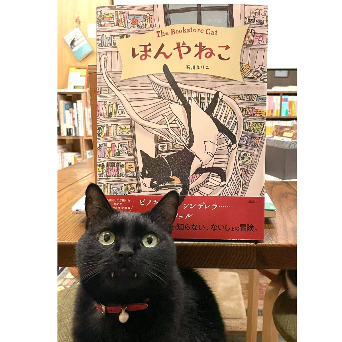 うまごやのねこ rookie year book 4冊 うまごやのねこ rookie year