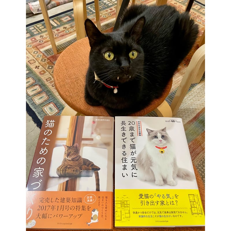 猫のための家づくり解剖図鑑 | Cat's Meow Books Virtual Shop β