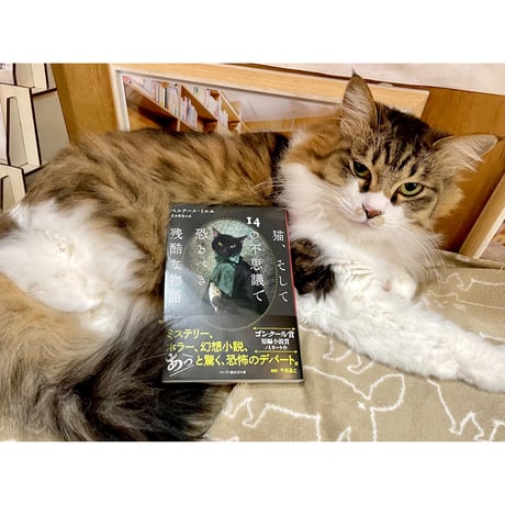 Cat's Meow Books Virtual Shop β