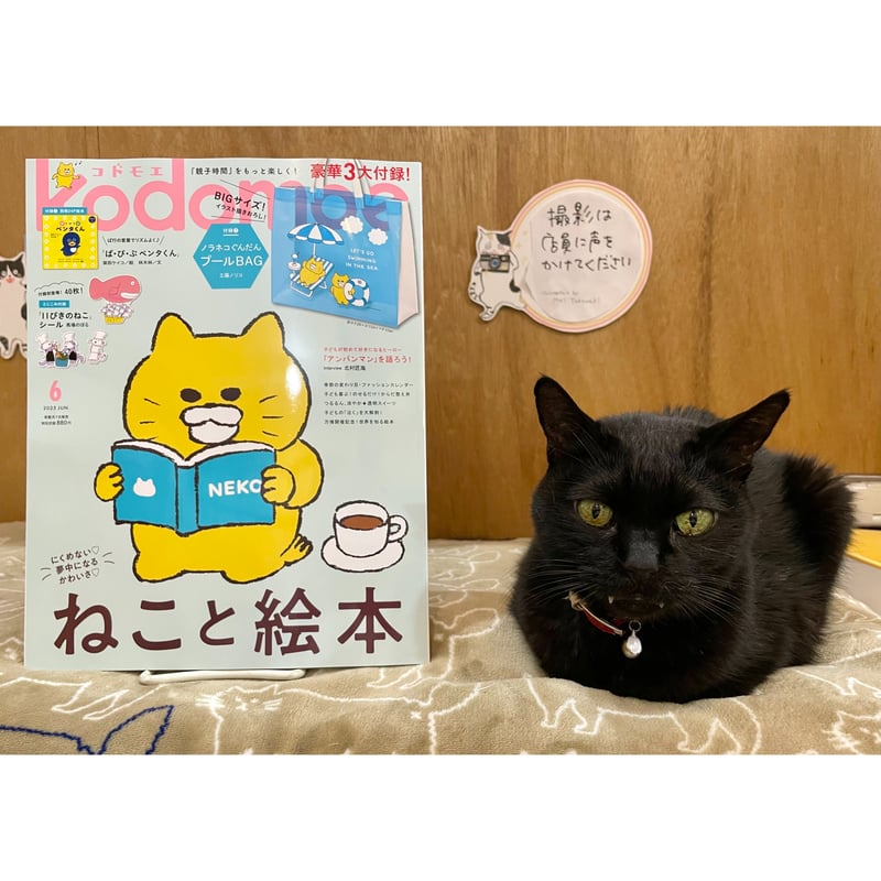 kodomoe 2025年6月号 | Cat's Meow Books Virtual Shop β