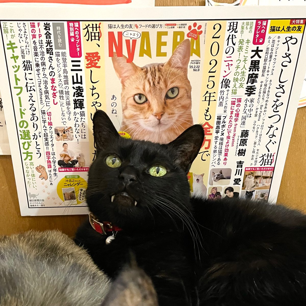 古沢　岩美、黒猫と女、希少な額装用画集より、新品額装付、状態良好 古沢岩美、デッサン 74、希少大判画集画、新品額装付、状態良好、eda