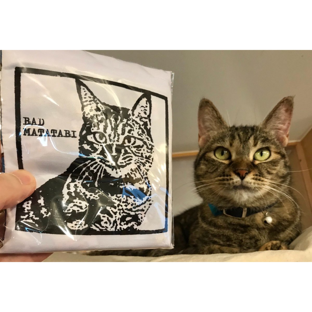miumiu レア　キャット柄エコバッグ miumiu レア キャット柄エコバッグ miumiu レア キャット柄エコバッグ