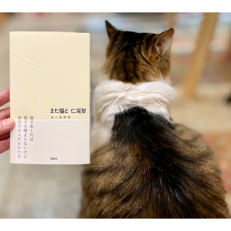 直筆サイン入り】また猫と 猫の挽歌集 | Cat's Meow Books