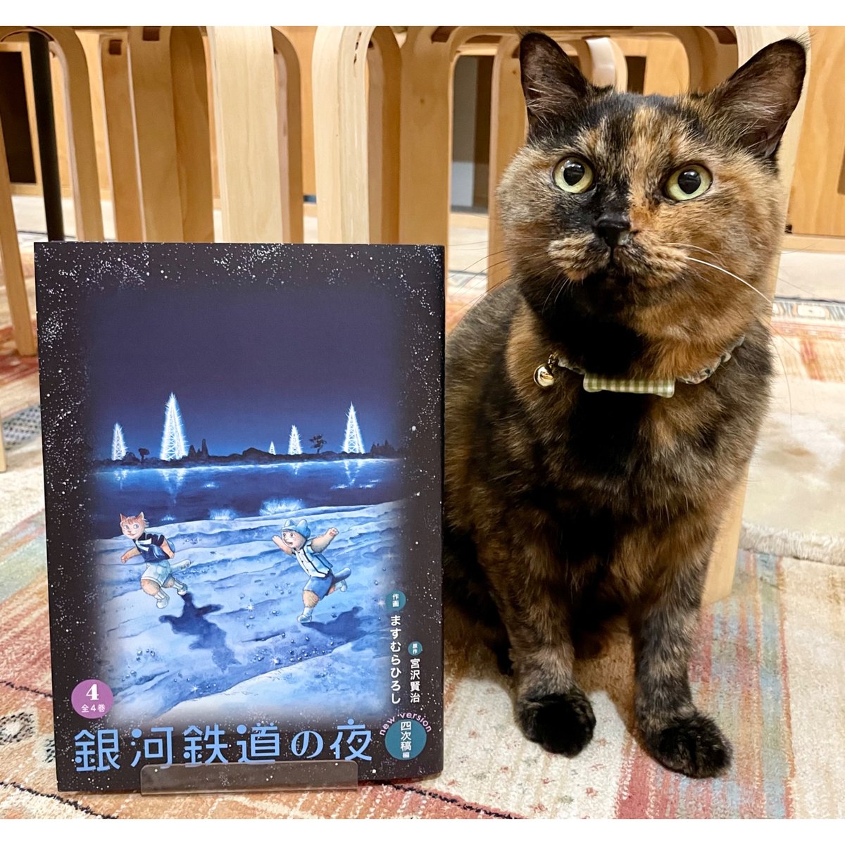 銀河鉄道の夜 四次稿編 全4巻 セット 銀河鉄道の夜四次稿編」全4巻セット 送料無料 - 風呂猫マーケット