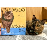 どろぼうねこのおやぶんさん