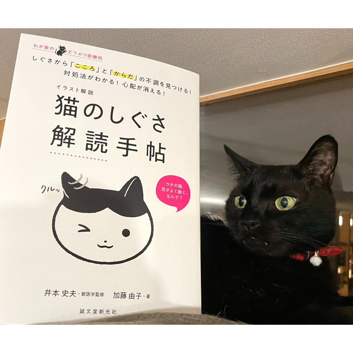 本と珈琲と黒猫さん ピンバッジ 猫 ネコ ねこ - アクセサリー